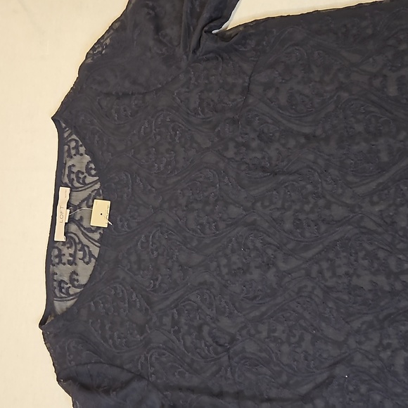 NWT Ann Taylor loft navy sheer embroidered top size Petite Small - Picture 5 of 12